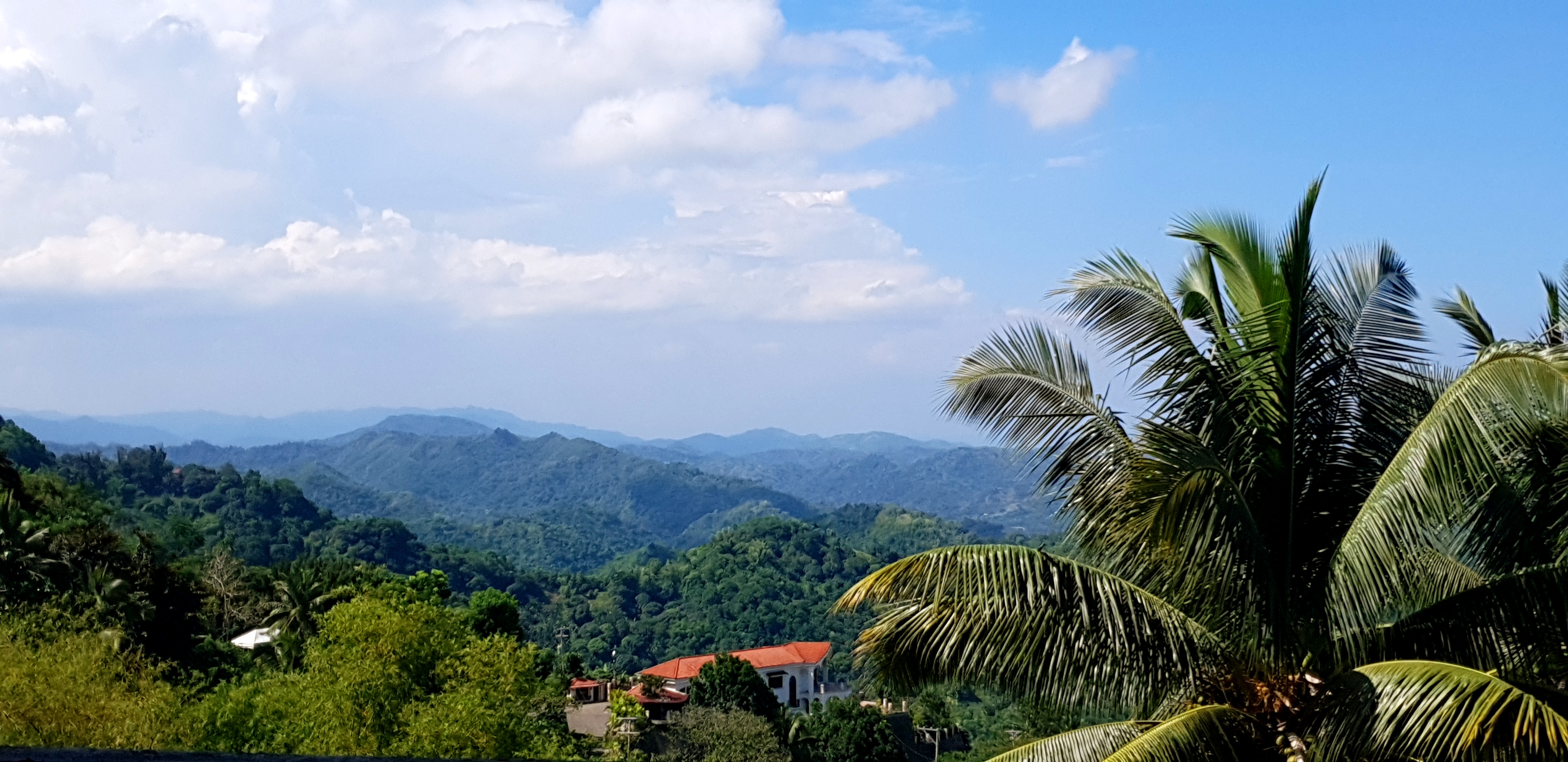 Discover the Best Lots for Sale in Cebu City